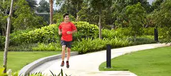 Beautifully landscaped gardens with walking paths at Adarsh Tropica